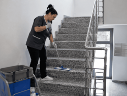 Mit unserer regelmäßigen Stiegenhausreinigung sorgen wir für saubere Treppenhäuser, Eingangsbereiche und Gemeinschaftsflächen in Wohn- und Geschäftsgebäuden.